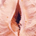 Orangefruit as a vagina parody